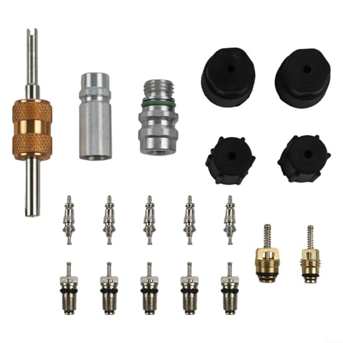 19-teiliges Klimaanlagen-Ventilkern-Set mit dichtem Dichtungsdesign für R134a und R12-Systeme, ideal für Fahrzeugwartung von Drivstraw