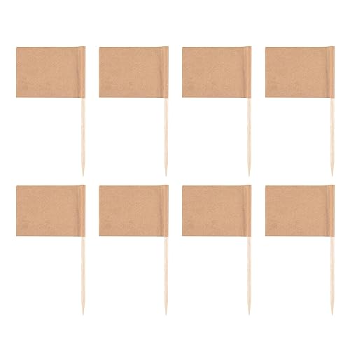 Droagoct 200 Pack Blank Zahn Stocher Flaggen Kraft Papier Flagge Picks KäSe Marker für Cupcake, Essen, Obst, Party Dekorationen von Droagoct