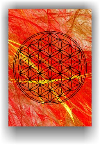 Die Blume des Lebens - Flower of Life - Lebensblume - Wandbild Dekoration Energiebild Kunstdruck Chakren Bild von Druck-Geschenk