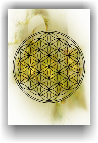 Die Blume des Lebens - Flower of Life - Lebensblume - Wandbild Geschenkidee Deko Bild Chakra Bilder von Druck-Geschenk