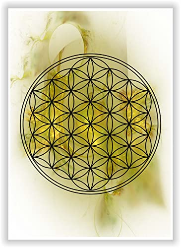 Die Blume des Lebens | Flower of Life | Wandbilder Energiebilder Lebensblumen Chakren Deko Bilder Medidation Esoterik (Gold/Weiß) von Druck-Geschenk