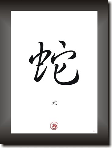 Druck-Geschenk SCHLANGE SNAKE Sternzeichen Bild Dekoration Chinesischer Mondkalender Horoskop asiatisches Kalligraphie Schriftzeichen Plakat Poster Kunstdruck Symbole von Druck-Geschenk