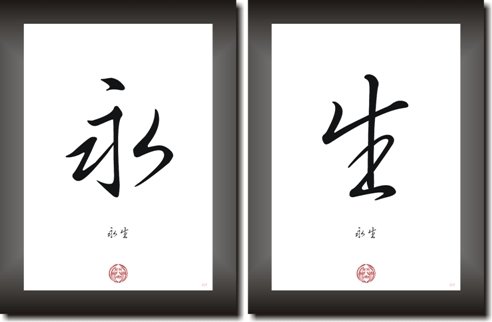 Unbekannt EWIGES Leben asiatische Schriftzeichen Symbole Asia Signs Bilder Kunstdrucke Poster Set mit Kalligraphie Zeichen Unbekannt EWIGES Leben asiatische Schriftzeichen Symbole Asia Signs Bilder Kunstdrucke Poster Set mit Kalligraphie Zeichen von Druck-Geschenk