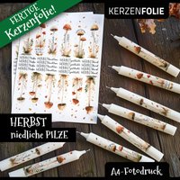 Kerzenfolie Herbst Niedliche Pilze, Fliegenpilz, Herbstgruß, Herbstlicht, Wasserschiebefolie, Kerzensticker, Kerzentattoo, Fotodruck Kerzenfolie Herbst Niedliche Pilze, Fliegenpilz, Herbstgruß, Herbstlicht, Wasserschiebefolie, Kerzensticker, Kerzentattoo, Fotodruck von DruckBeiDen7Zwergen