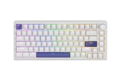 DrunkDeer A75 Schnelltastatur-Trigger, Magnetschalter, Tastatur, 82 Tasten, PBT-Tastenkappe, OEM-Profil, Doppelschuss, USB-Kabel, kompakt, 75 % Layout, Weiß von DrunkDeer