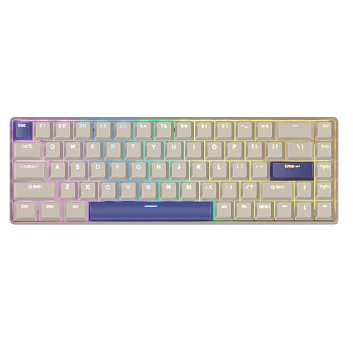 DrunkDeer G65 Rapid Trigger Tastatur Mechanische Magnetschalter Kirsche Profil PBT Tastenkappe Doppelschuss Gaming Tastenkappe Benutzerdefinierte von DrunkDeer