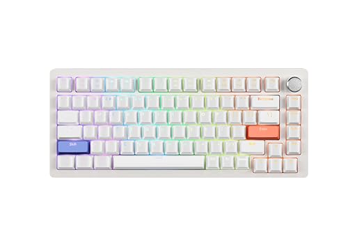 DrunkDeer A75-mechanischen-Tastatur,TKL Mechanical Keyboard Magnetic Switch, 75 Percent Gaming Keyboard 82 Keys with Keyknob,RGB Gaming Tastatur, weiß von DrunkDeer