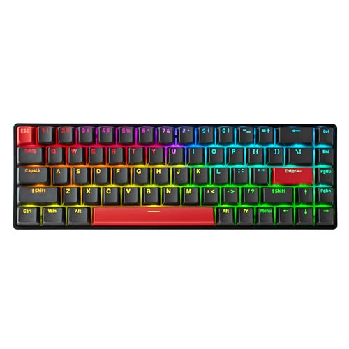 DrunkDeer G65 Rapid Trigger Mechanische Tastatur Magnetische Schalter Gaming PBT Keycaps RGB Wired 65% Kompakte Größe Anti-Ghosting Schwarz von DrunkDeer