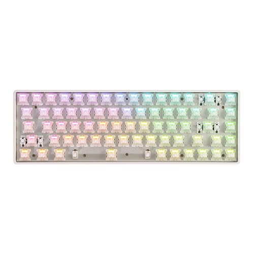 DrunkDeer G65 Mechanische Tastatur mit Schnellauslöser, Magnetschalter, 68 Tasten, Gaming-Tastatur, 65 % Größe, RGB, kompakt, USB, kabelgebunden, ohne Tastenkappe, Grau von DrunkDeer