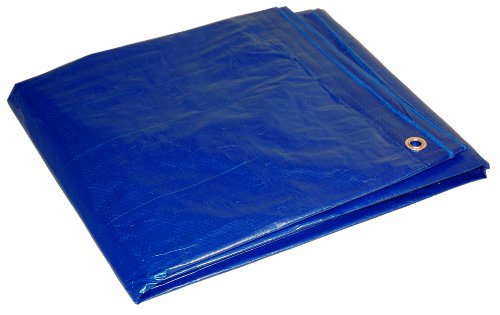 Foremost Tarp 81012 Economy Polyethylen-Plane, 3 x 3,6 m, Blau Foremost Tarp 81012 Economy Polyethylen-Plane, 3 x 3,6 m, Blau von Foremost Tarp