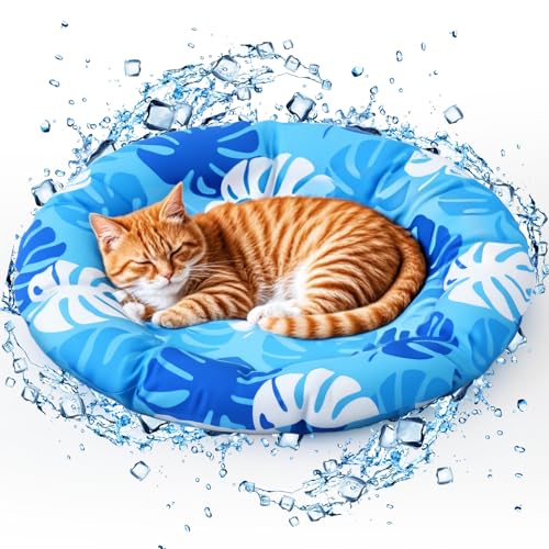 Drydiet Haustier-Kühlmatte für mittelgroße Hunde und Katzen, 64 x 65 cm, verdicktes, rundes blaues Pad, Anti-Greif-Innengel, Gel, ohne Wasserfüllung, leicht, waschbar, Spielmatte für drinnen und Drydiet Haustier-Kühlmatte für mittelgroße Hunde und Katzen, 64 x 65 cm, verdicktes, rundes blaues Pad, Anti-Greif-Innengel, Gel, ohne Wasserfüllung, leicht, waschbar, Spielmatte für drinnen und von Drydiet