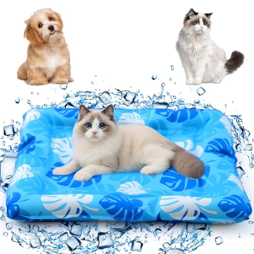 Drydiet Kühlmatte für große Katzen, 80 x 71 cm, verdicktes rechteckiges Polster, Anti-Greif-Innenkaltgel, ohne Wasserfüllung, leicht, waschbar, Spielmatte für drinnen und draußen Drydiet Kühlmatte für große Katzen, 80 x 71 cm, verdicktes rechteckiges Polster, Anti-Greif-Innenkaltgel, ohne Wasserfüllung, leicht, waschbar, Spielmatte für drinnen und draußen von Drydiet
