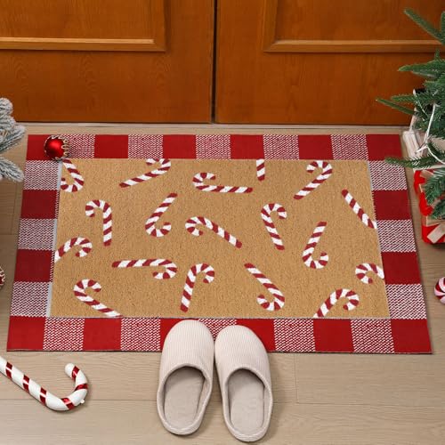 Drydiet Weihnachtliche Fußmatten für den Außenbereich, mehrlagig, Büffelkariert, Zuckerstange, rutschfeste Fußmatten für Weihnachten, Veranda, Eingang, Innen- und Außenbereich, Dekoration, Zuckerrohr von Drydiet