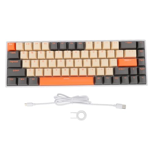 Dsacxixai Tastatur, 68 Tasten mehrerer Beleuchtungsmodi RGB Wilberry Connection USB Mechanical Tastatur zum Spielen des Geschäfts von Dsacxixai