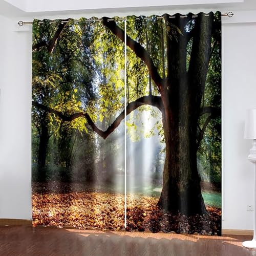 Dsnyu Polyester Curtains, Gardinenstoff Fenster Grün Braun Bäume und Sonnenschein Landschaft Vorhang 2er Set B 96 x H 138 cm von Dsnyu
