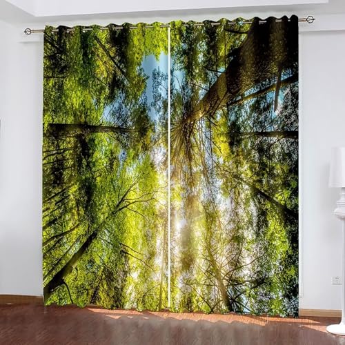Dsnyu Verdunklungsvorhänge Lang, Verdunkelungsvorhang XXL Braun Grün Polyester Bäume und Himmel Landschaft Vorhänge 2er Set B 244 x H 244 cm Dsnyu Verdunklungsvorhänge Lang, Verdunkelungsvorhang XXL Braun Grün Polyester Bäume und Himmel Landschaft Vorhänge 2er Set B 244 x H 244 cm von Dsnyu
