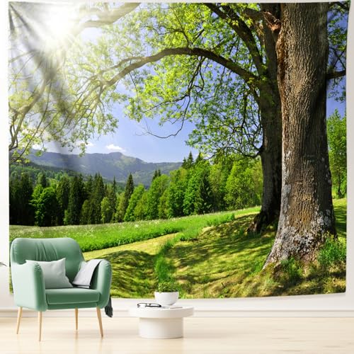 Dsnyu Wandteppich Wald, Wall Tapestry Nature Bäume Sonnenschein Grün Wandtuch Landschaft 150x130cm Polyester Waschbar von Dsnyu