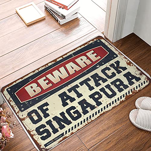 Dsoluuing Fußmatte für den Außenbereich, Vorsicht vor Angriffen, Singapura-Fußmatte, Zuhause, Bar, Dekoration, Schlafzimmer-Zubehör (Größe: 50 x 80 cm) von Dsoluuing