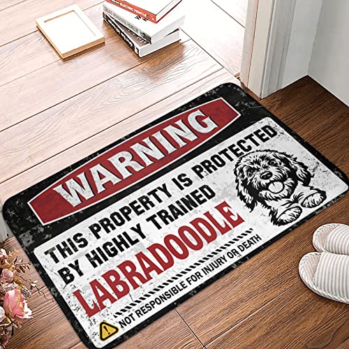 Dsoluuing Fußmatte für den Außenbereich, lustige Warnung, dieses Eigentum wird durch einen gut ausgebildeten Labradoodle-Teppich geschützt, Badteppiche für Badezimmer, rutschfester Herbstteppich für von Dsoluuing