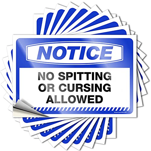 Dsoluuing Unangemessene Aufkleber "Notice No Spitting or Cursing allowed", 10 Stück, Autoaufkleber für Autos (Größe: 6 x 9 cm) von Dsoluuing