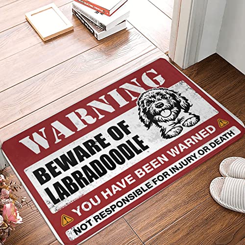 Dsoluuing Willkommensmatte, Klassenzimmer, Vorsicht vor Labradoodle, Fußmatte, für den Außenbereich, Garage, Dekoration für Herren (Größe: 50 x 80 cm) von Dsoluuing