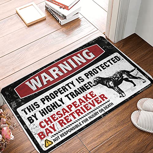 Welcome-Ish Fußmatte für den Außenbereich, Aufschrift "Warning This Property is Protected by A Highly Trained Chesapeake Bay Retriever", Fußmatte, Haustürmatte, lustige Bürodekoration (Größe: 40 x 60 Welcome-Ish Fußmatte für den Außenbereich, Aufschrift "Warning This Property is Protected by A Highly Trained Chesapeake Bay Retriever", Fußmatte, Haustürmatte, lustige Bürodekoration (Größe: 40 x 60 von Dsoluuing