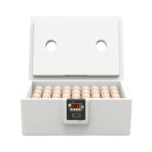 Dtaigou Hühner Brutapparat - 10 Bis 25 Eier Brutgerät Für Schildkröten - Automatischer Schlupfapparat Mit Ganzflächiger Isolierung Für Geflügel Enten Und Kriechtiere Dtaigou Hühner Brutapparat - 10 Bis 25 Eier Brutgerät Für Schildkröten - Automatischer Schlupfapparat Mit Ganzflächiger Isolierung Für Geflügel Enten Und Kriechtiere von Dtaigou