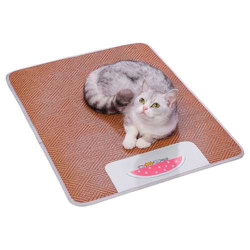 Dtaigou Hundekühlmatte | Haustier Kühlkissen Bett | Abriebfeste Kühlmatte Haustierzubehör Für Zu Hause Wohnung Auto von Dtaigou