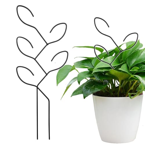 Dtaigou Topfpflanzenschleuder, Innenpflanzenschleuder | Stallgartenunterstützung Anteil | Schwerleichter rostfester Zimmerpflanze Ständer für Blumen Gemüse Reben Ivy Garten Vorräte von Dtaigou