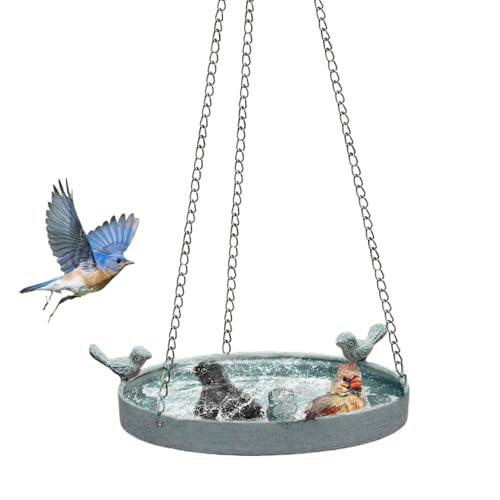 Dtaigou Vogelbad | Vogelbad Für Den Garten Mit Metallkette | Dekorative Vogelbadschalen Aus Rostfreiem Material Für Gartenzaun Terrasse Und Hof Dtaigou Vogelbad | Vogelbad Für Den Garten Mit Metallkette | Dekorative Vogelbadschalen Aus Rostfreiem Material Für Gartenzaun Terrasse Und Hof von Dtaigou