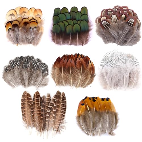 Dtoterul 220 Stück Natürlich Federn, Federn zum basteln Natur, bastelfedern fasanenfedern, 8 Stile, für Dream Catcher Crafts,Kostüme, Hüte, osterdeko(Braun) von Dtoterul
