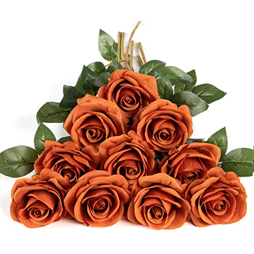 DuHouse 10 Stück künstliche Rosen Seidenblumen Fake Rose 54cm einzelnen Langen Stiel Bouquet für Arrangement Hochzeit Tafelaufsatz Party Haus Küche Dekor(gebranntes Orange) von DuHouse