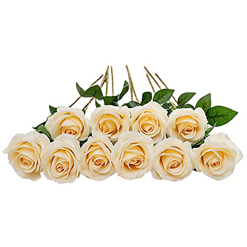 DuHouse 10 Stück künstliche Rosen Seidenblumen Fake Rose 54cm einzelnen Langen Stiel Bouquet für Arrangement Hochzeit Tafelaufsatz Party Haus Küche Dekor(helles Champagner) von DuHouse