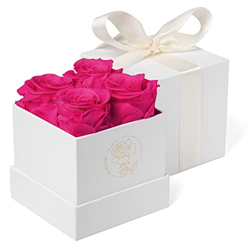 DuHouse 4 x konservierte Rosen-Box mit ewigen Rosen, konservierte Blumen für Valentinstag, Geburtstag, Muttertag, Erntedankfest, Weihnachten (Hot Pink) von DuHouse
