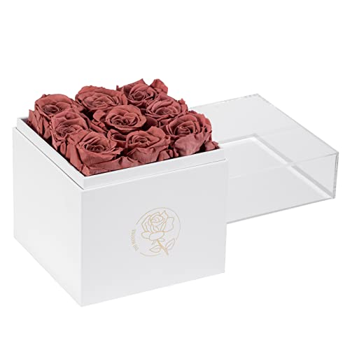 DuHouse 9 Stück konservierte Rosen in Acrylbox, ewige Blume, die 4 Jahre hält, Geschenke für Freundin, Ehefrau, Mutter, Frauen, Valentinstag, Jahrestag, Geburtstag, Muttertag (Dusty Rose) von DuHouse
