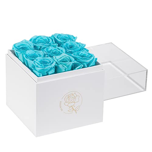 DuHouse 9 x konservierte Rosen in Acrylbox, ewige Blume, die 4 Jahre hält, Geschenke für Freundin, Ehefrau, Mutter, Frauen, Valentinstag, Jahrestag, Geburtstag, Muttertag (Tiffany-Blau) von DuHouse