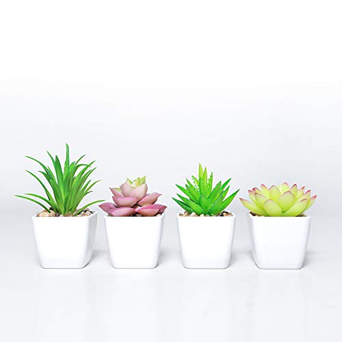 DuHouse Fake Succulents Plants Künstliche Topfimitatpflanze in kleinen weißen Plastiktöpfen für das Home Office Badezimmer Gartendekor 4er-Set (grün) von DuHouse