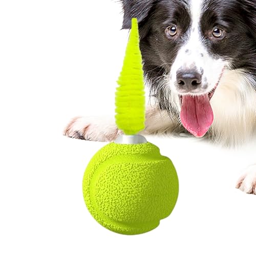 Dubbulon Federball Katzen Spielzeug | Balancier Mit Geräusch - Hüpfball Spiel Für Drinnen Und Draußen Katzen Training Aktivität von Dubbulon