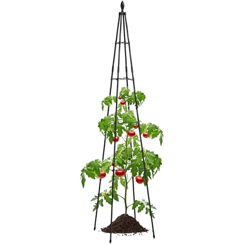 Dubbulon Kleine Rankhilfe Für Topfpflanzen - Pflanzengitter Für Topfpflanzen Mit Rankhilfe - Pflanzengitter Für Blumen Outdoor Rankgestell Zimmerpflanzen Efeu Terrasse Rasen Garten Dubbulon Kleine Rankhilfe Für Topfpflanzen - Pflanzengitter Für Topfpflanzen Mit Rankhilfe - Pflanzengitter Für Blumen Outdoor Rankgestell Zimmerpflanzen Efeu Terrasse Rasen Garten von Dubbulon