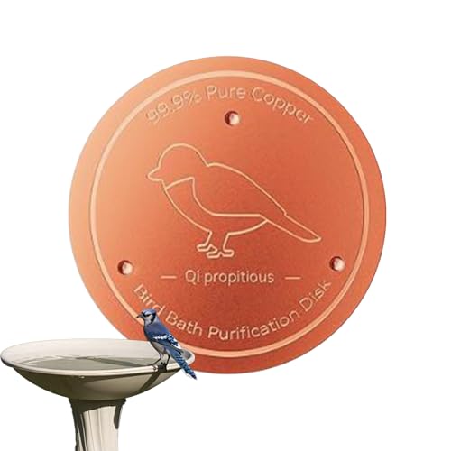 Kupfer Vogelbadplatte - Reine Kupfer Vogelbad Reinigungsscheibe - Physikalisch Sicher Wasserspiel Vogeltränke Zubehör Für Balkon Garten Terrasse Park Vogelbeobachtung Kupfer Vogelbadplatte - Reine Kupfer Vogelbad Reinigungsscheibe - Physikalisch Sicher Wasserspiel Vogeltränke Zubehör Für Balkon Garten Terrasse Park Vogelbeobachtung von Dubbulon