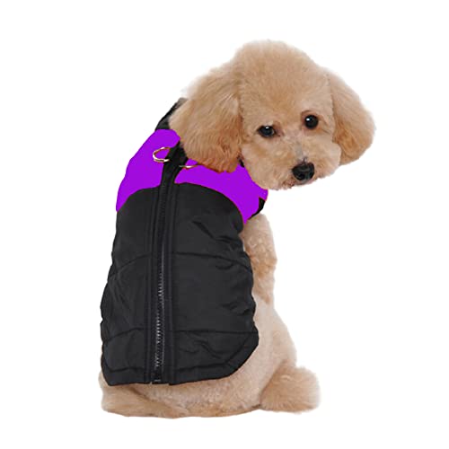 Ducomi St. Moritz Hundemantel mit Haken, für den Winter, Daunenjacke für Hunde, Größe: Klein, Mittel und Groß, Wasserdicht, für den Winter (S, Purple) von Ducomi