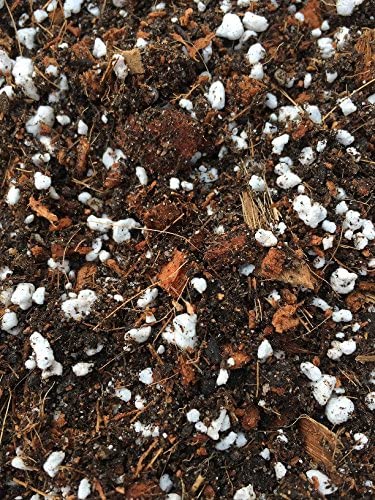 Kombipack Plumeria Frangipanierde zum selber Mischen für 20 Liter Erde von Duengershop24