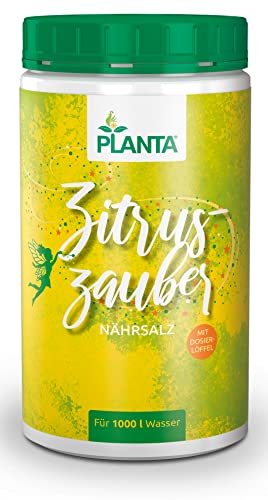 Planta Zitruszauber Planta Zitruszauber von Duengershop24