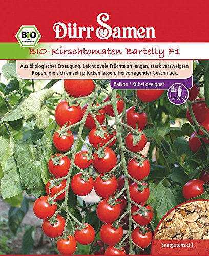 Bio Kirschtomaten Samen Rote Tomate BartellyF1 Tomatensamen Biotomaten ca 6 Korn Saatgut Ertragreich Garten Hochbeet Kübel Dürr Samen von Dürr-Samen