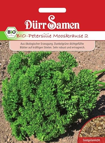 Bio Petersilie Samen Mooskrause 2 Petersiliesamen ca 2500 Korn Küchenkräuter Kräutersamen Saatgut Mehrjährig Balkon Garten Hochbeet Kübel Dürr Samen von Dürr-Samen