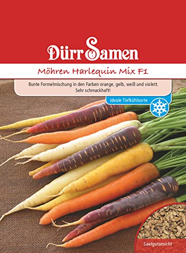 Bunte Möhren Samen Karotten Harlequin Mix F1 Gemüsesamen ca 500 Korn Garten Hochbeet Saatgut Gemüse Möhrensamen Karottensamen Möhre Dürr Samen Bunte Möhren Samen Karotten Harlequin Mix F1 Gemüsesamen ca 500 Korn Garten Hochbeet Saatgut Gemüse Möhrensamen Karottensamen Möhre Dürr Samen von Dürr-Samen