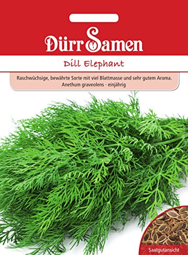 Dill Elephant Elefant,bewährte Sorte ca. 1750 Korn von Dürr-Samen