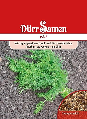 Dill Samen Blattreicher Dillsamen ca 1500 Korn Küchenkräuter Kräutersamen Saatgut Balkon Garten Hochbeet Kübel Dürr Samen von Dürr-Samen