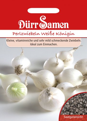Dürr Samen 0161 Perlzwiebel Weiße Königin (Perlzwiebelnsamen) von Dürr-Samen
