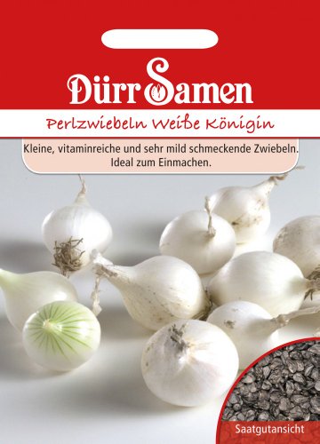 Dürr-Samen - Perlzwiebeln Weiße Königin Saatgut von Dürr-Samen